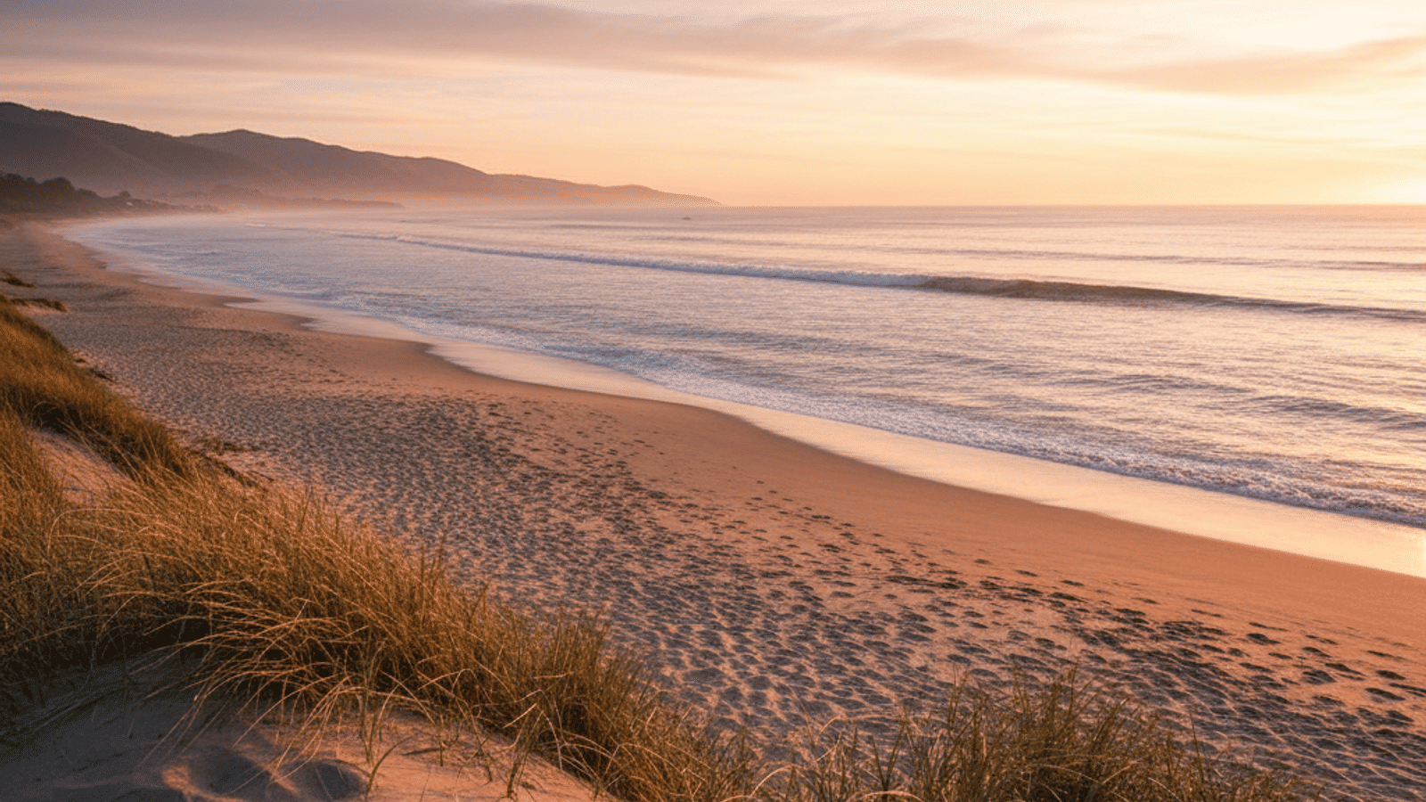 From Sacred Lands to Surf City: The Evolution of Santa Cruz