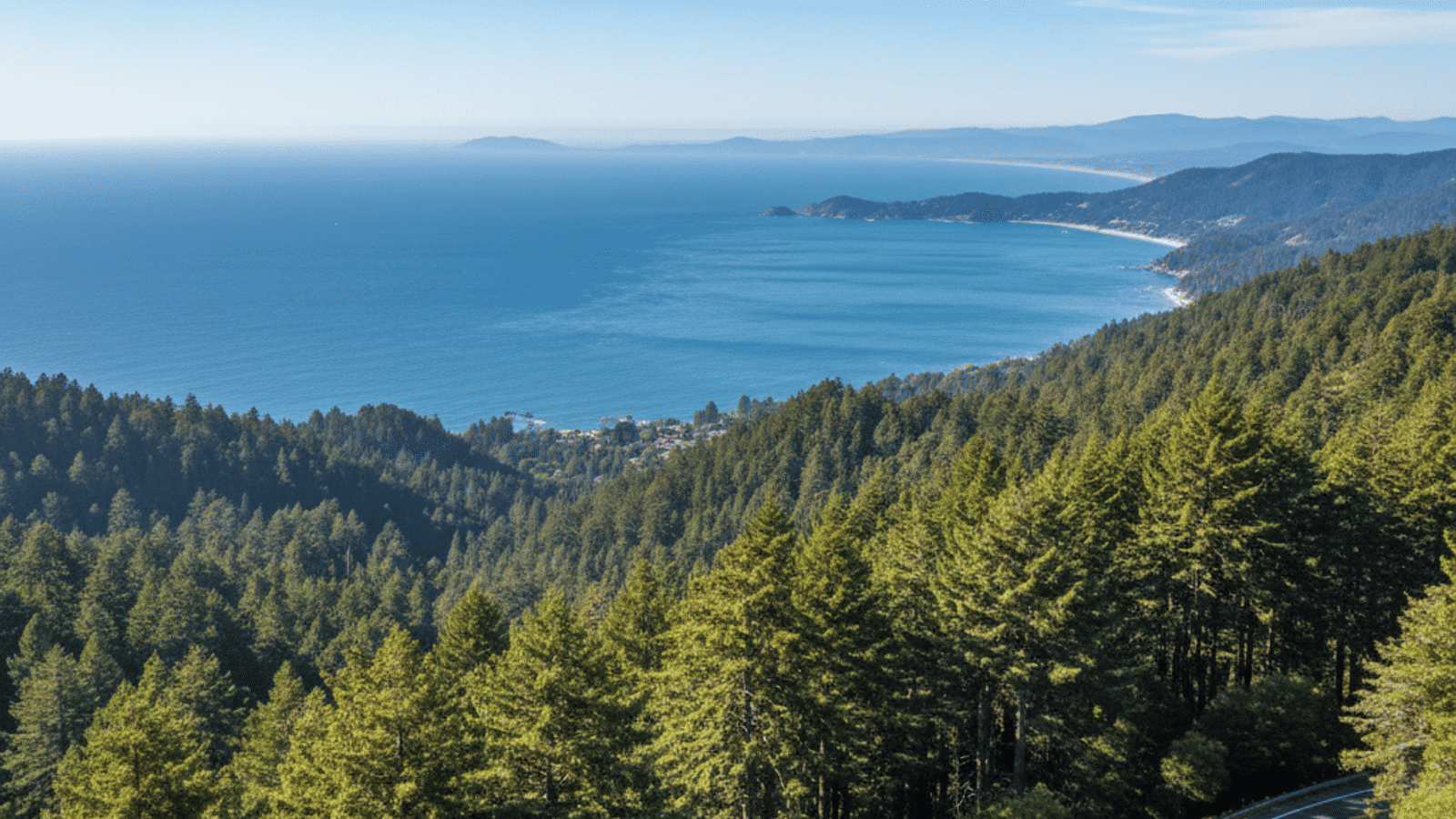 Living in Santa Cruz: The Reality Behind the Postcard