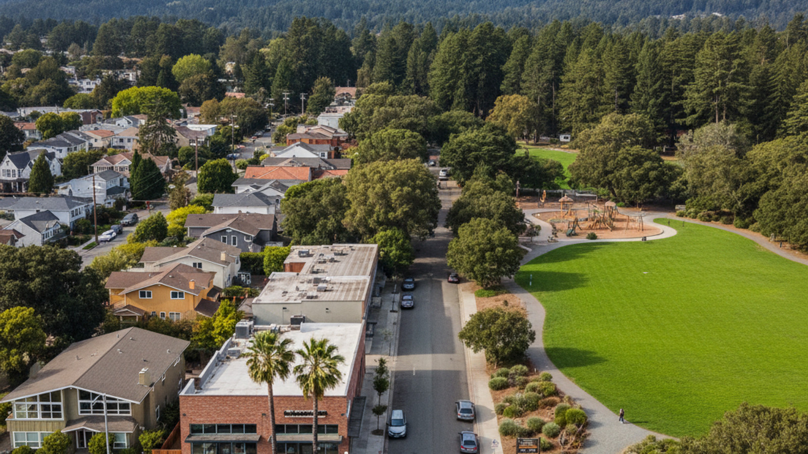 Navigating the Market: The 2026 Harvey West Santa Cruz, CA Area Guide