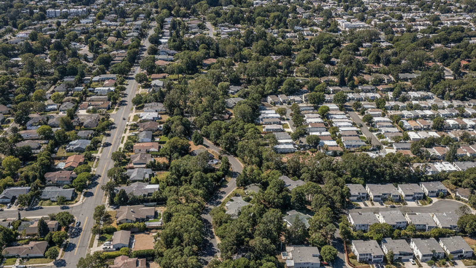 Living in Live Oak, Santa Cruz, CA: Real Estate, Costs, and Local Guide