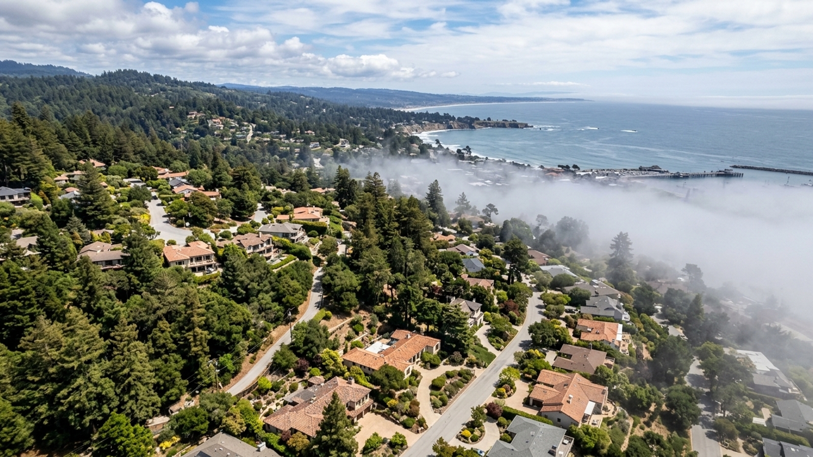 What to Expect From Year-Round Weather Patterns in Santa Cruz, CA